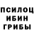 Псилоцибиновые грибы мухоморы Beku Nurov