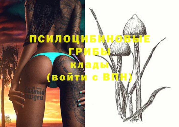 COCAINE Лихославль