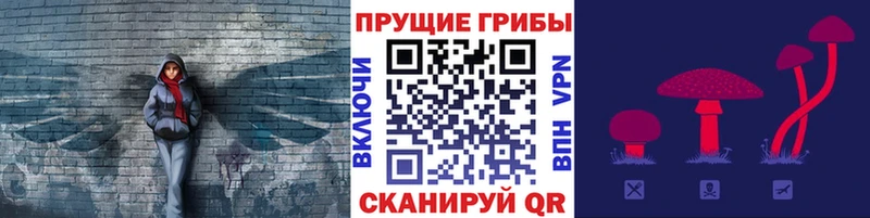 хочу наркоту  Юрьев-Польский  маркетплейс формула  Псилоцибиновые грибы мухоморы  блэк спрут  